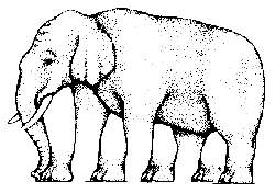 olifant.jpg